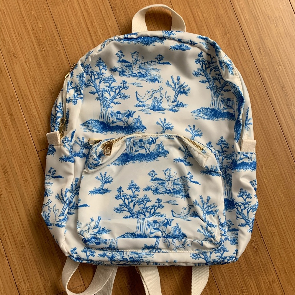 Small “State” Backpack - image 1